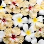 Relaxing aromatherapy diffusers for a soothing and aromatic home environment