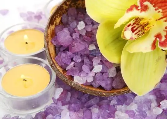 Considerations for Aromatherapy: Safety Tips and Guidelines for Cats