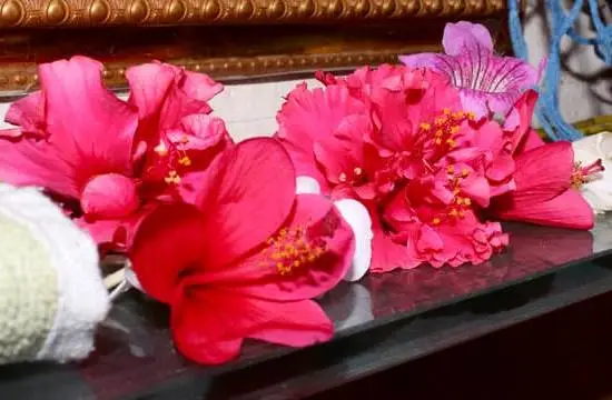 Unplug Meditation Aromatherapy Diffuser Directions 1 Step-by-step instructions for using the UNPLUG Meditation Aromatherapy Diffuser