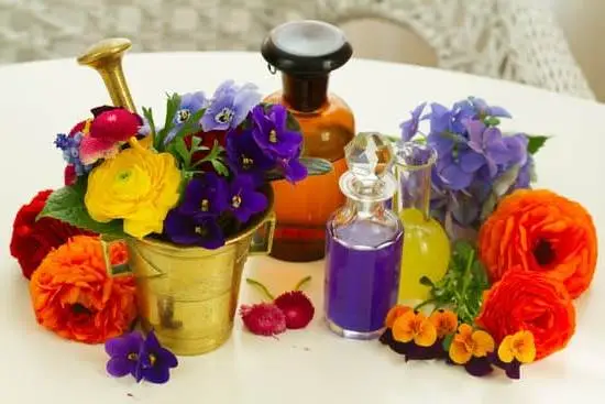 Exploring the Effectiveness: Does Aromatherapy Really Work in Promoting Relaxation and Well-being?