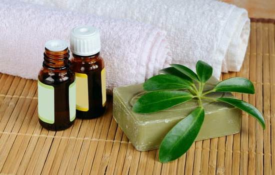 Can You Mix Cinnamon Rosemary And Lavender For Aromatherapy | Deep ...