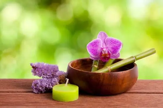 Browse the latest AROMATHERAPY ARTICLES 2016 covering essential oils, benefits, and techniques for relaxation and wellness