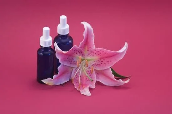 Suggested alt text: 'Famous founder(s) and origin of aromatherapy: Who created aromatherapy?'