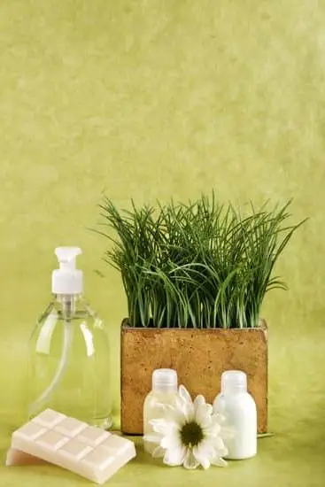 Why Is Taxonomy an Important Part of Aromatherapy 1 Importance of taxonomy in aromatherapy: Understanding plant classification for accurate essential oil identification and therapeutic applications