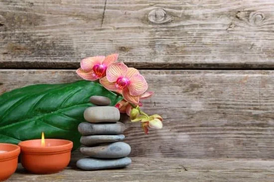 Step-by-step guide on making aromatherapy oils - Learn how to make aromatherapy oils at home!