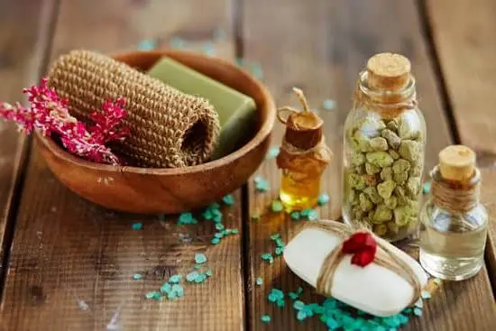 Ensuring Cat Safety: Understanding the Safety of Aromatherapy Diffusers for Cats