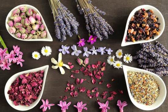 Origins of Aromatherapy: Tracing the Historical Roots of this Soothing and Therapeutic Practice