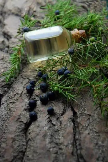 AROMATHERAPY MIX FOR LABOUR: A soothing blend of essential oils to aid relaxation during childbirth