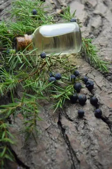 Step-by-step guide on making aromatherapy shower steamers at home for a relaxing shower experience