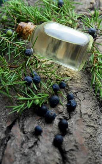 How to Use Essential Oils for Aromatherapy 1 Step-by-step guide on the proper use of essential oils for aromatherapy purposes