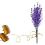 AROMATHERAPY COLOR LED DIFFUSER: Relax and rejuvenate with this beautifully designed diffuser and its soothing LED lights