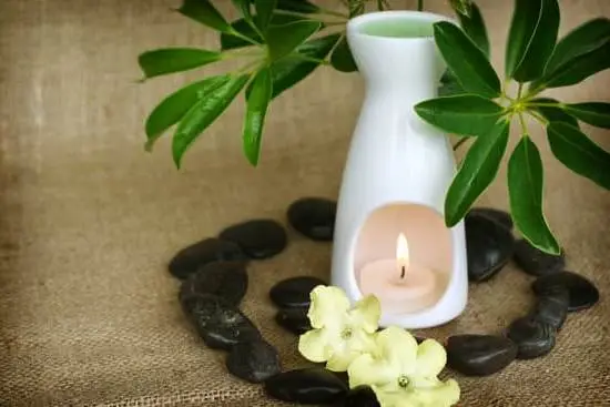 Discover accredited Aromatherapy Courses at leading colleges in London for holistic wellness enthusiasts