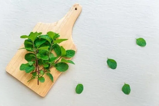 Does Aromatherapy Help Anxiety 1 Aromatherapy has potential to alleviate anxiety symptoms through soothing scents and relaxation techniques