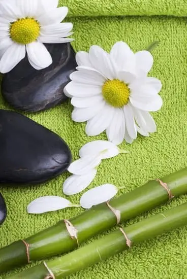 Image of a well-stocked Aromatherapy Business offering a variety of essential oils and relaxation products