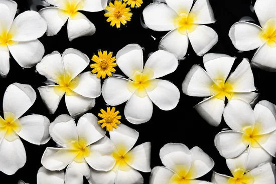 AROMATHERAPY BOOK showcasing ancient practices from 3000 BC in China