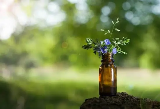 How to Burn Aromatherapy Oils 1 Simplified steps for safely and effectively burning aromatherapy oils at home