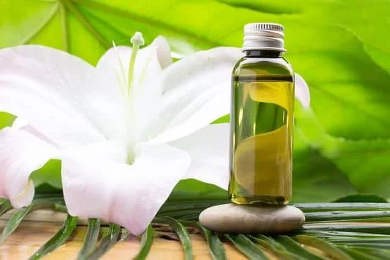 Where to Buy Aromatherapy Diffusers 7 Discover the best places to purchase high-quality aromatherapy diffusers for a soothing and relaxing experience