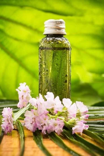 A Handbook for Aromatherapy Practice 2Nd Edition Quizzes 1 Cover of A Handbook for Aromatherapy Practice 2nd Edition with Included Quizzes