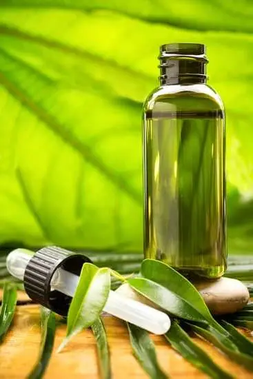Discover the best time for Bath and Body Works Aromatherapy sale: find out when it goes on sale