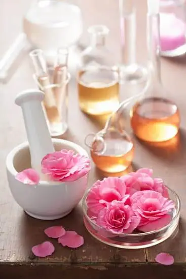 What Aromatherapy 1 What Aromatherapy: Essential oils and relaxation techniques for holistic well-being