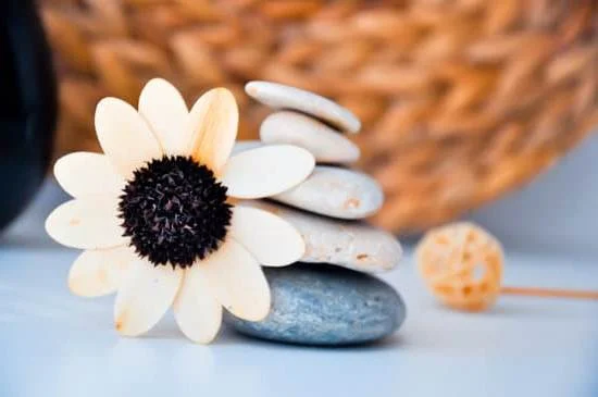 What Is Holistic Aromatherapy 1 Discover the benefits of holistic aromatherapy and its role in enhancing overall well-being