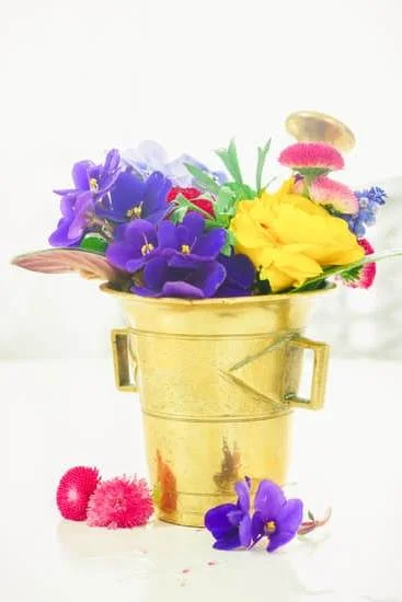 Suggested aromatherapy oils for dogs: a guide to safe options