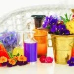 A detailed guide to aromatherapy essential oils and diffusers for beginners