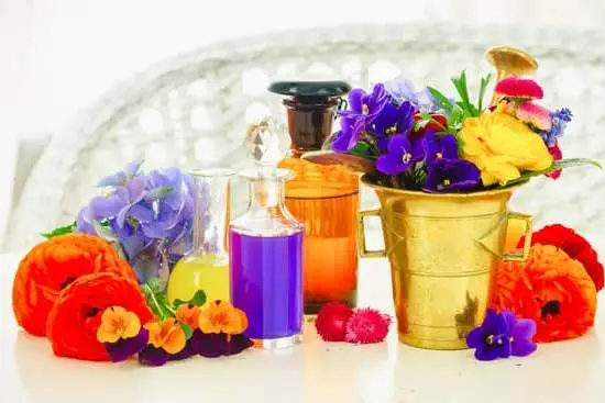 A detailed guide to aromatherapy essential oils and diffusers for beginners