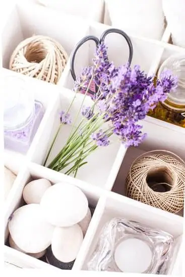Is Bath and Body Works discontinuing Aromatherapy line Stay updated for news and new products