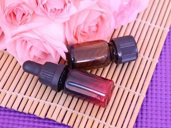 Understanding the Cognitive Effects: How Does Aromatherapy Influence the Brain