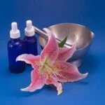 Aromatherapy oils misting dogs can provide relaxation and calmness during grooming sessions