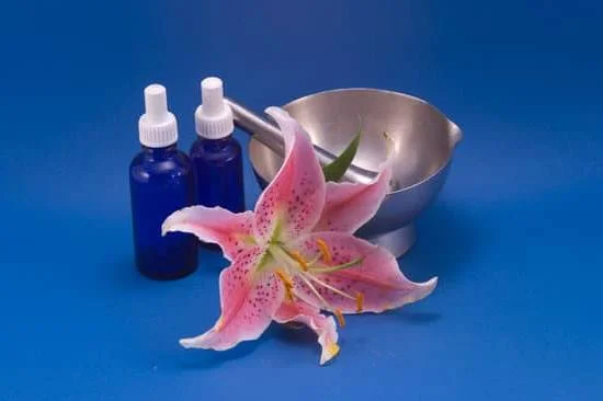 Aromatherapy oils misting dogs can provide relaxation and calmness during grooming sessions