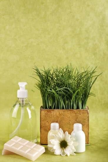 Step-by-step guide on how to effectively clean your aromatherapy diffuser for optimal performance