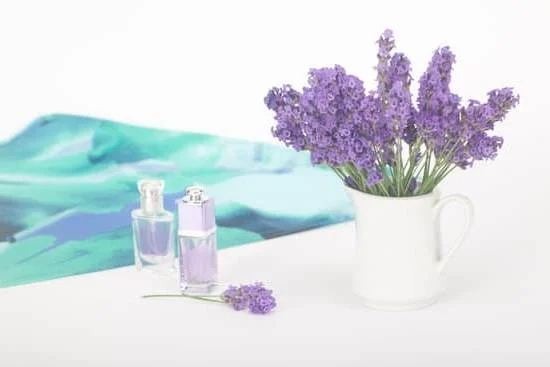 Which Oil Is Best for Aromatherapy 1 Discover the ideal oil for aromatherapy, exploring the top choices to enhance your senses and well-being