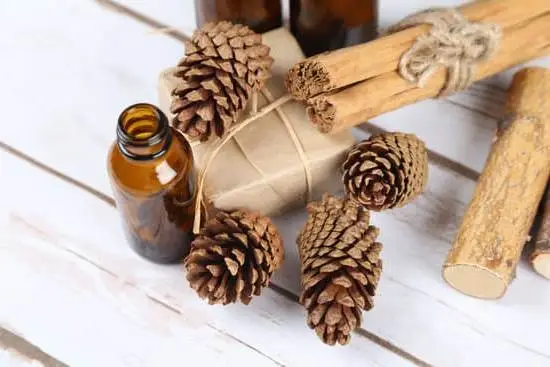 Is Lemongrass Aromatherapy Safe for Dogs 5 Is lemongrass aromatherapy safe for dogs? - A complete guide to using lemongrass essential oil for canine aromatherapy