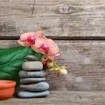 Relaxing A'KIN Aromatherapy Lavender Body Wash for a soothing shower experience