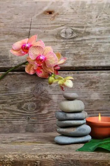 What Is Sweet Orange Aromatherapy Good For 9 Sweet Orange aromatherapy is good for promoting relaxation and reducing anxiety