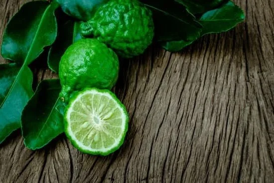Discover the Top Aromatherapy Oils for Anxiety Relief and Relaxation