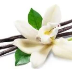 Beneficial properties of tea tree oil in aromatherapy for relaxation and overall well-being