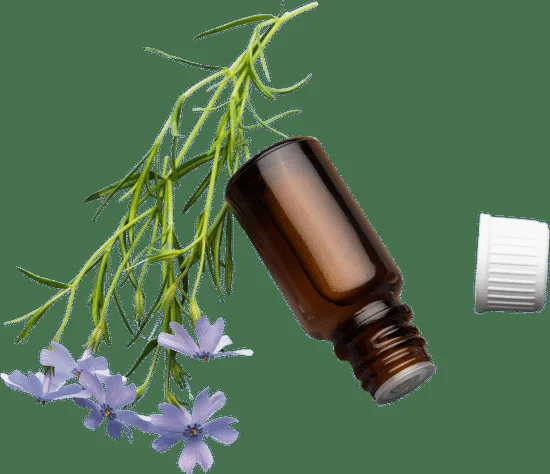 Exploring the Differences Between Homeopathic Remedies and Herbal Aromatherapy