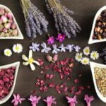 Potential risks: Can Aromatherapy Cause Allergies Consult allergist before use