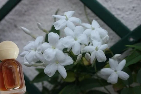 An image of a bottle of Aromatherapy Oil used for relaxation and well-being