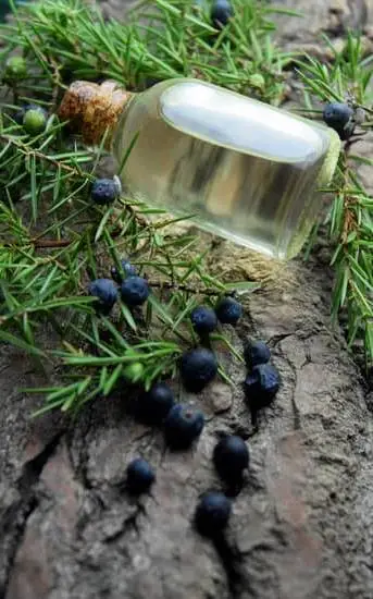 Can I Use Aromatherapy Oils on My Face 1 Suggestion: Discover safe and effective ways to use aromatherapy oils on your face for various benefits