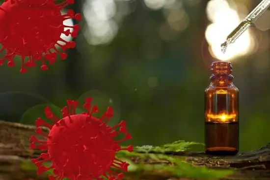 What Is the Difference Between Aromatherapy and Essential Oils 1 A brief comparison of aromatherapy and essential oils, highlighting their key differences effectively