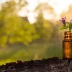 Discover the benefits of an aromatherapy facial and its refreshing effects on your skin and well-being