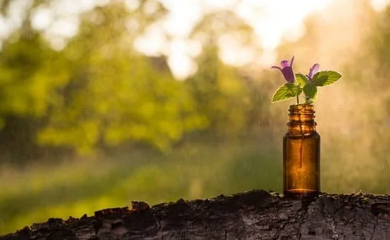 Discover the benefits of an aromatherapy facial and its refreshing effects on your skin and well-being