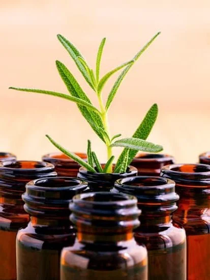 Bath and Body Works Aromatherapy: Discover the latest updates and changes