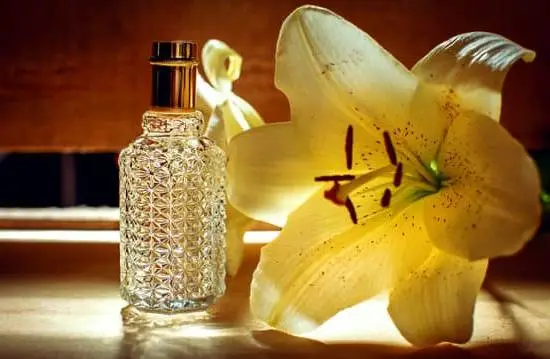 Step-by-step guide on crafting delightful aromatherapy candles at home – perfect relaxation awaits