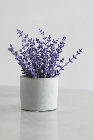 When Was Aromatherapy First Used 1 Suggestion: Discover the origin: When was aromatherapy first used Unveiling the history and benefits behind aromatherapy's ancient beginnings