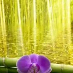 Is incense aromatherapy: Discover the soothing scents and therapeutic benefits of incense for relaxation and stress relief